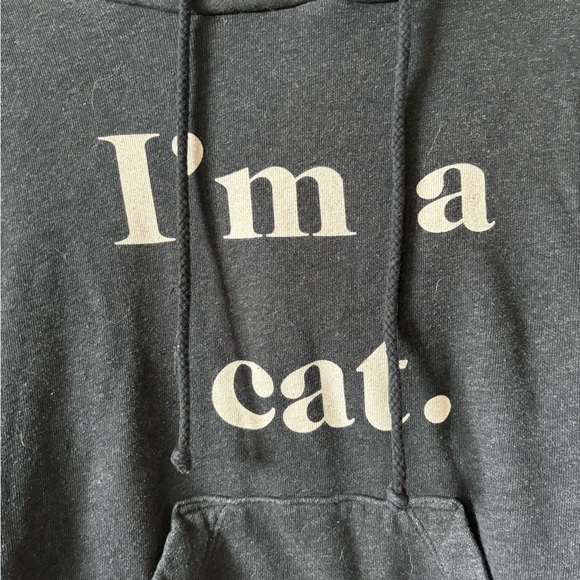 Wildfox Cat Hoodie with Ears - Picture 2 of 8